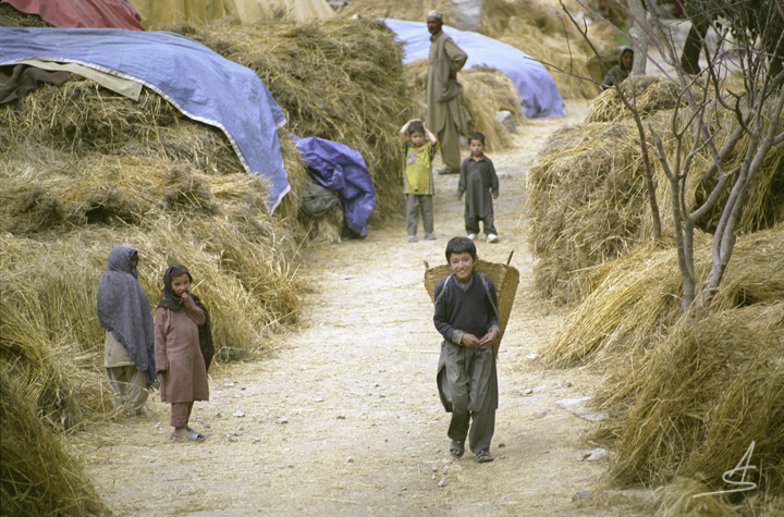 Harvest scene, Hushe Valley, Baltistan